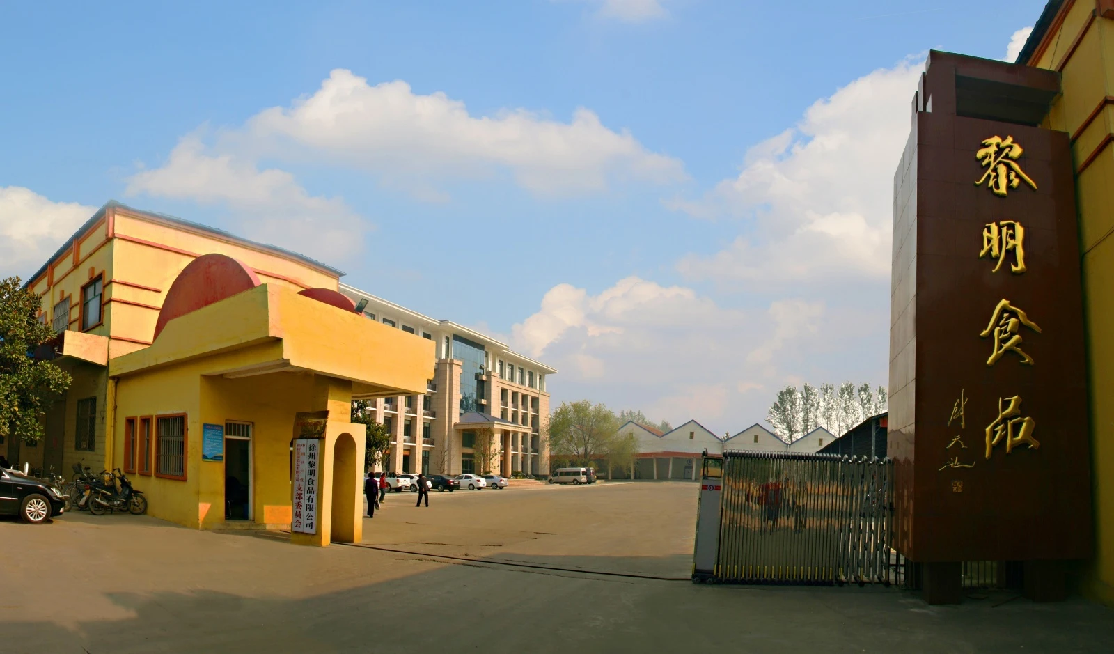 About Our Company